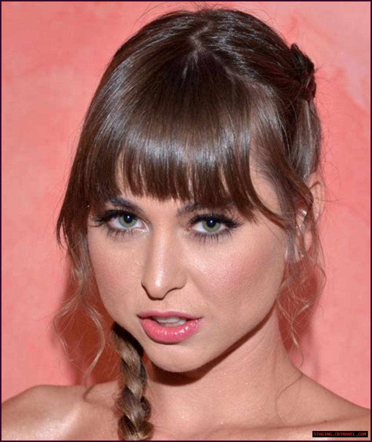 Exploring The World Of Riley Reid Films