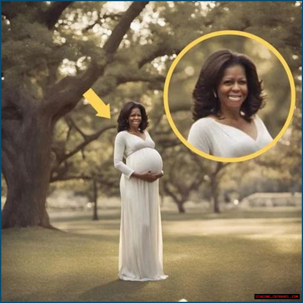 Michelle Obama Pregnancy Picture: A Glimpse Into A Historic Moment