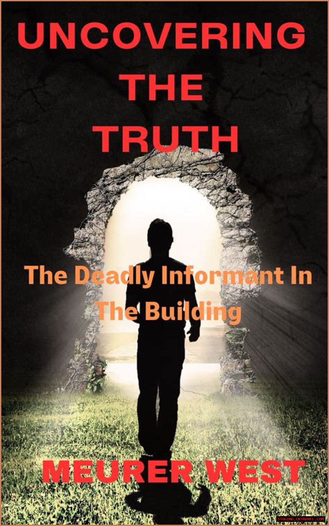 Uncovering The Truth: Lawanda Roosevelt, The Enigma In Terry Lee Flenory's Story