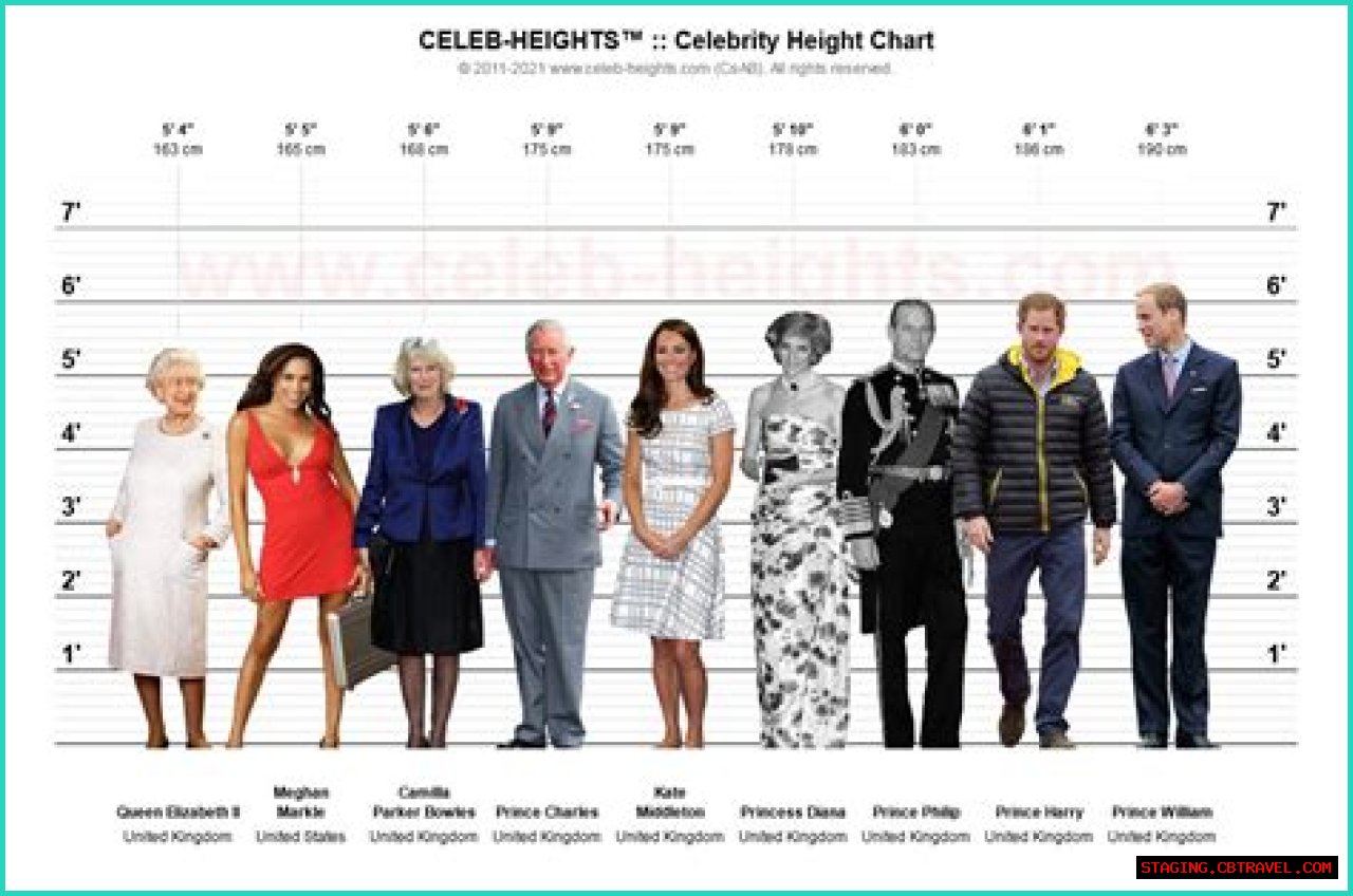 Understanding Prince Singer's Height: A Comprehensive Look