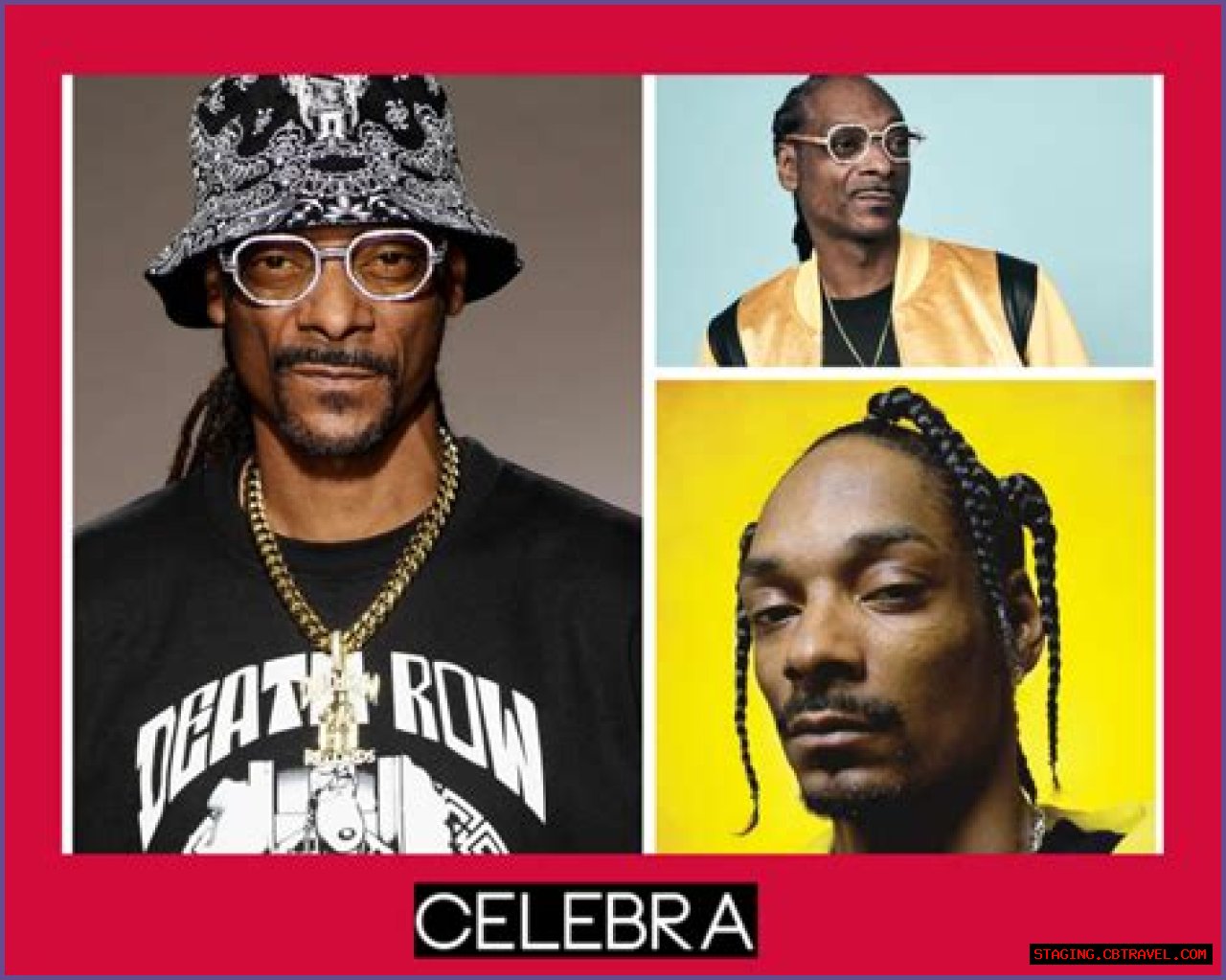 Unveiling The Truth: Is Snoop Dogg A Felon?