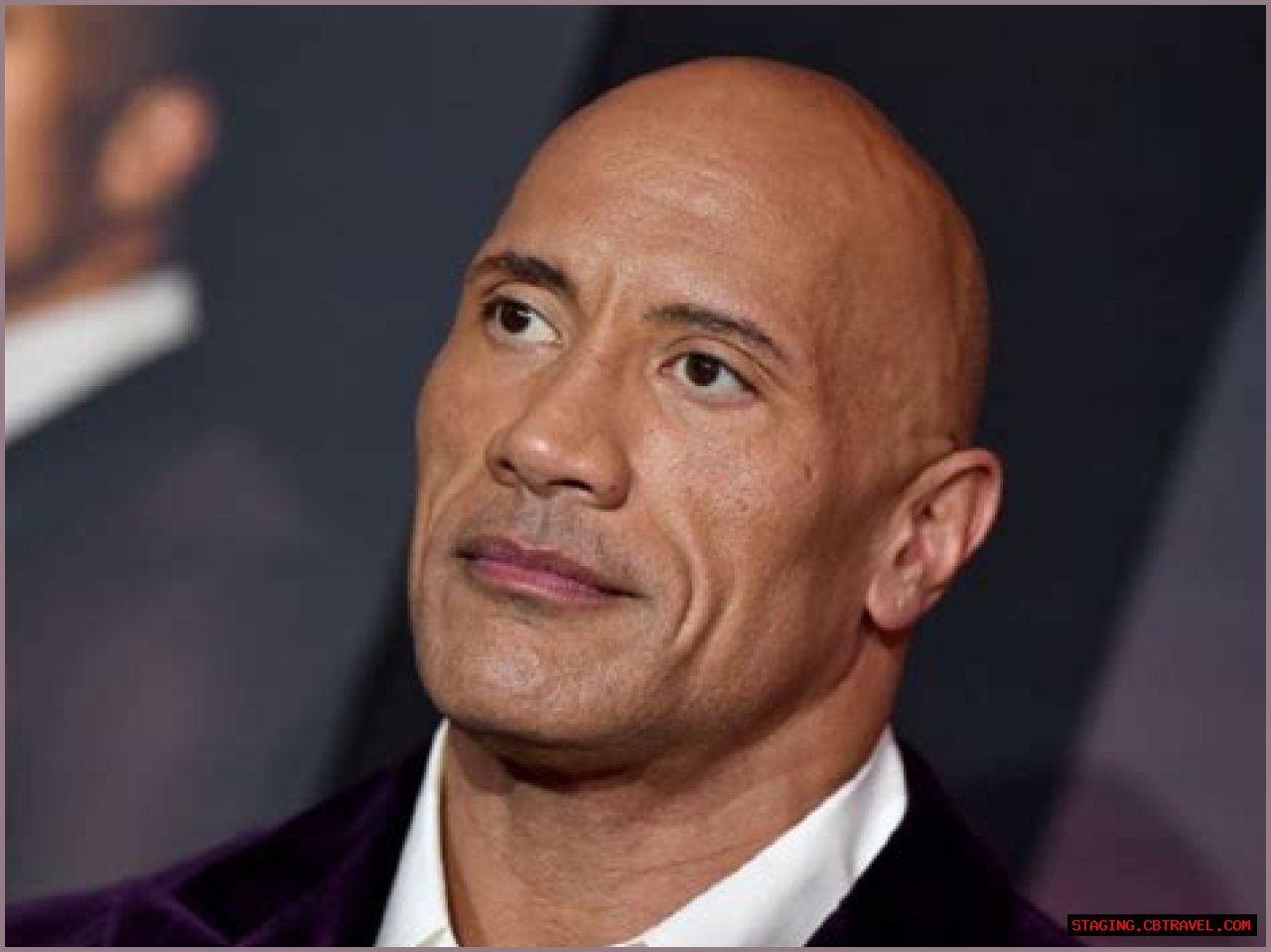 What Is Dwayne Johnson's Ethnicity? Understanding The Roots Of A Hollywood Icon